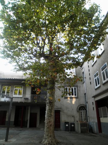 P9050018
