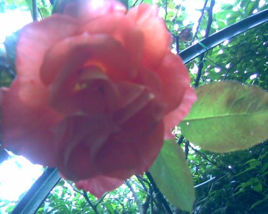photo000.jpg