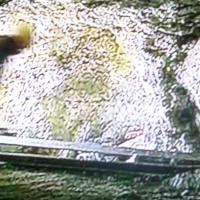 ANDES  rail de la mine