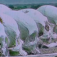 ANDES témoins civilisation disparue