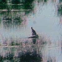 PEROU Lac Titicaca.femme