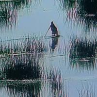 PEROU Lac Titicaca