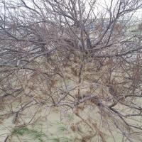 20120303 153904