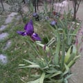 p2280039.jpg
