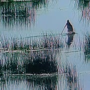Perou lac titicaca