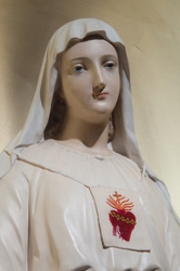 Vierge scapulaire marie mere de misericorde
